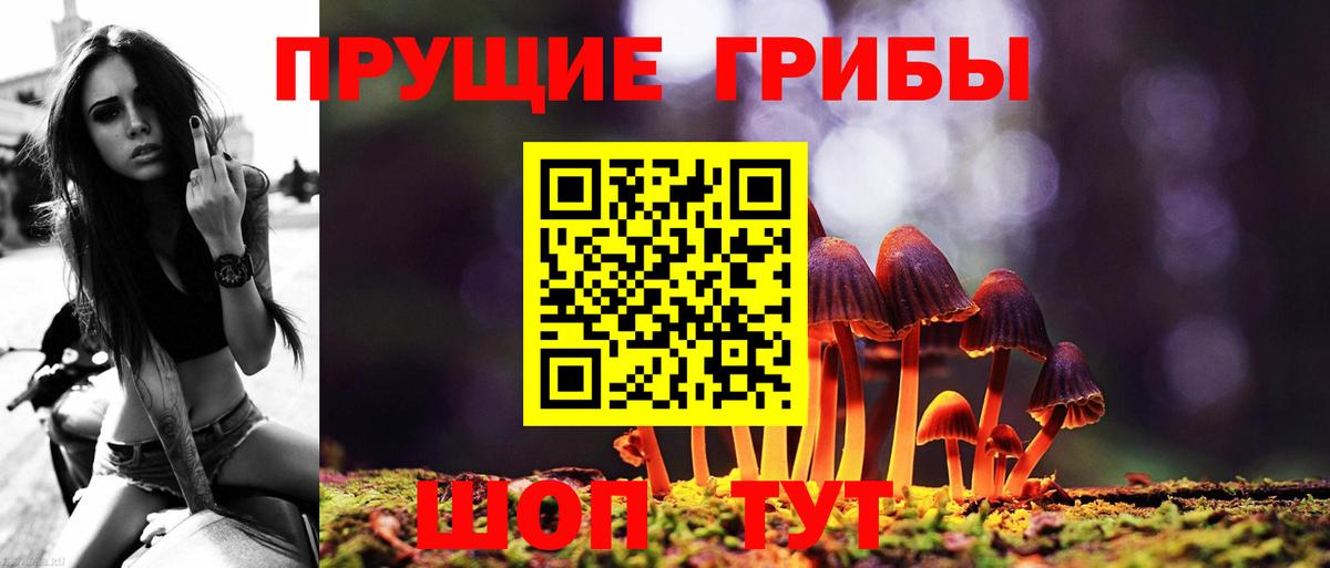 Галлюциногенные грибы Psilocybe Россошь