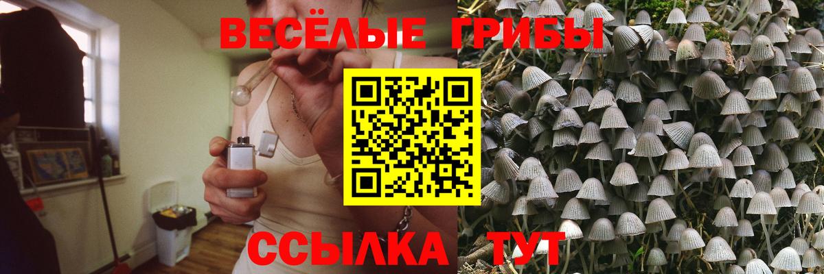 Галлюциногенные грибы Psilocybe  Галлюциногенные грибы прущие грибы  Вход с VPN  Россошь 